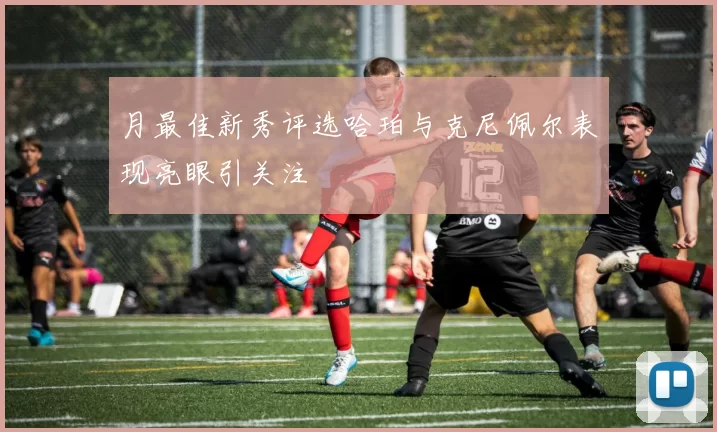 月最佳新秀评选哈珀与克尼佩尔表现亮眼引关注